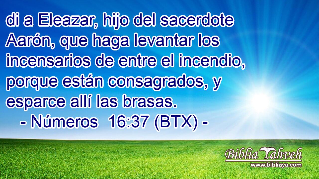di a Eleazar, hijo del sacerdote Aarón, que haga levantar los incensarios de entre el incendio, porque están consagrados, y esparce allí las brasas.