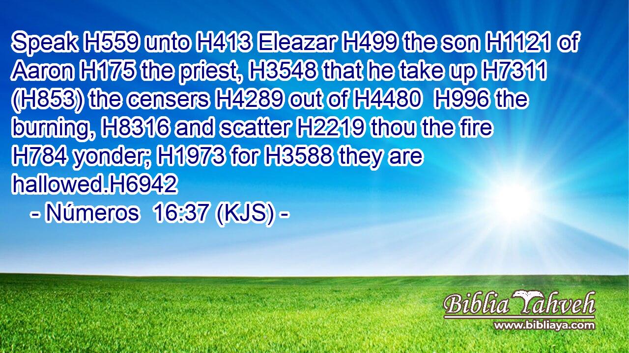 Speak H559 unto H413 Eleazar H499 the son H1121 of Aaron H175 the priest, H3548 that he take up H7311 (H853) the censers H4289 out of H4480  H996 the burning, H8316 and scatter H2219 thou the fire H784 yonder; H1973 for H3588 they are hallowed.H6942