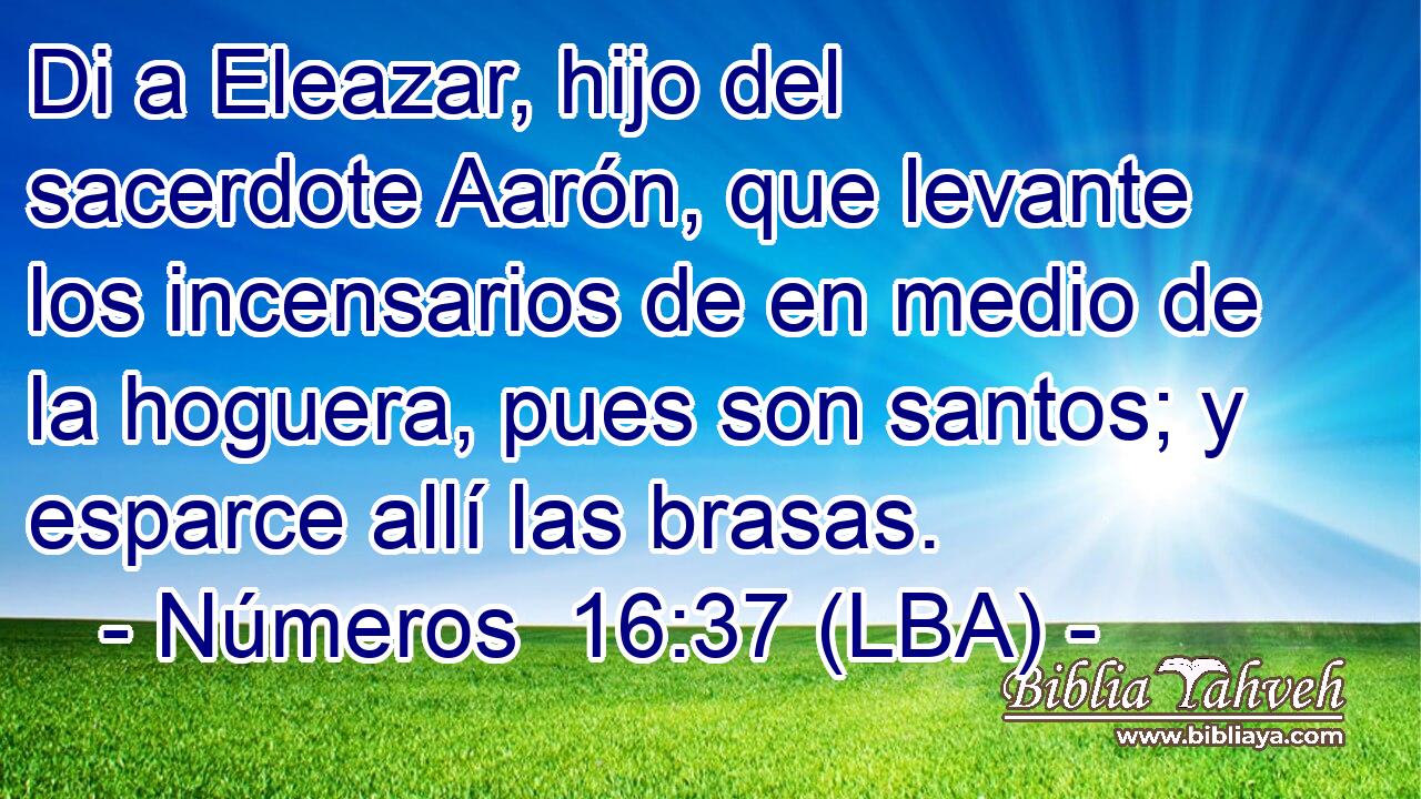 Di a Eleazar, hijo del sacerdote Aarón, que levante los incensarios de en medio de la hoguera, pues son santos; y esparce allí las brasas.