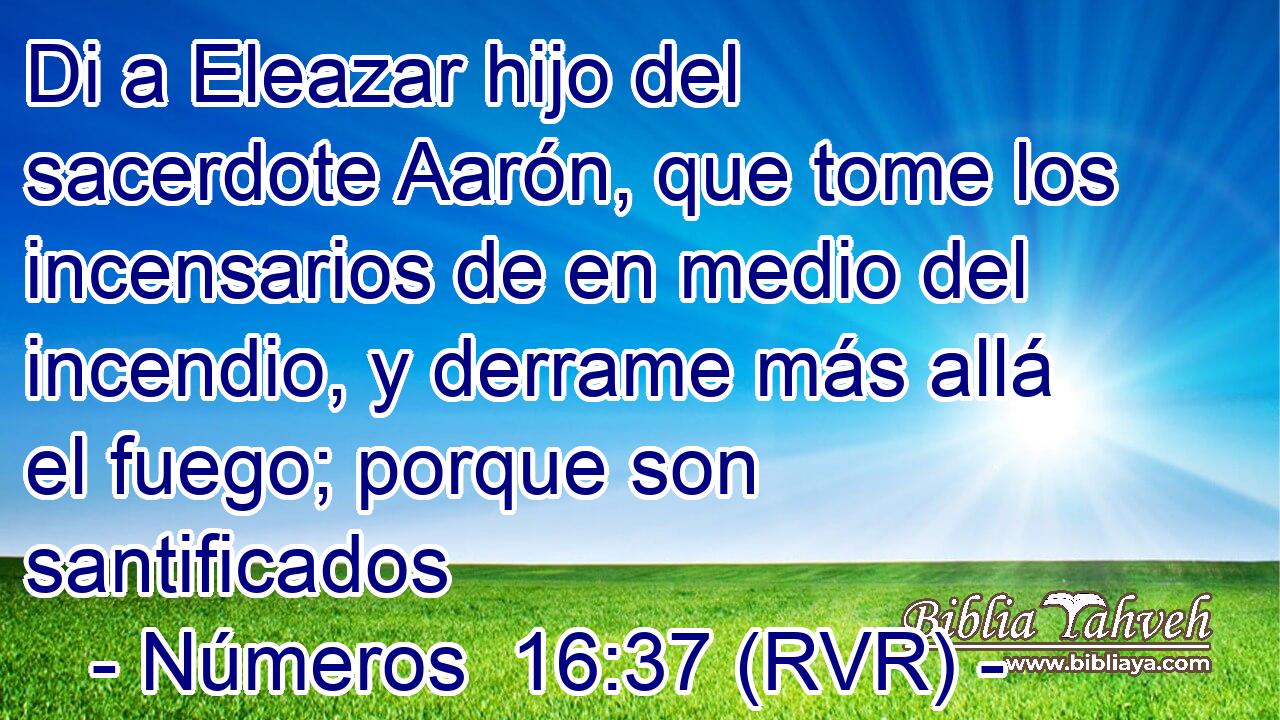 Di a Eleazar hijo del sacerdote Aarón, que tome los incensarios de en medio del incendio, y derrame más allá el fuego; porque son santificados