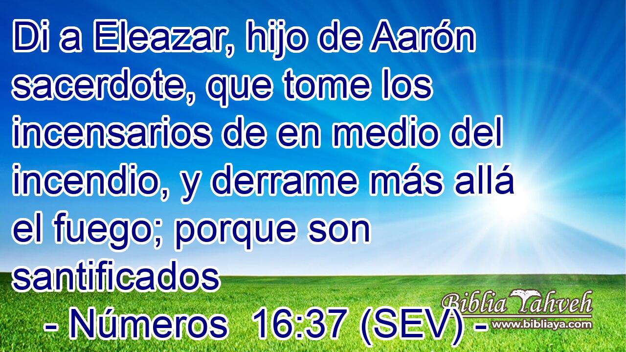 Di a Eleazar, hijo de Aarón sacerdote, que tome los incensarios de en medio del incendio, y derrame más allá el fuego; porque son santificados