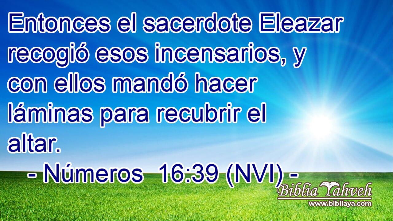  Entonces el sacerdote Eleazar recogió esos incensarios, y con ellos mandó hacer láminas para recubrir el altar. 