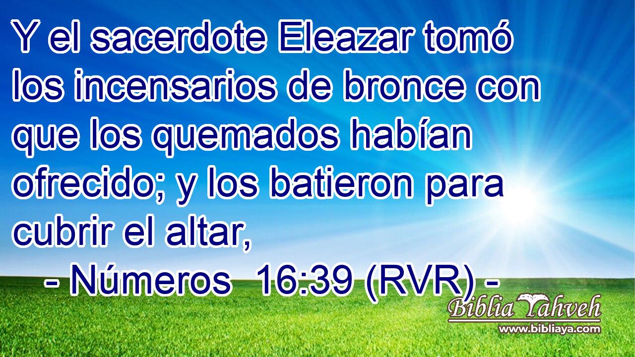 Y el sacerdote Eleazar tomó los incensarios de bronce con que los quemados habían ofrecido; y los batieron para cubrir el altar,
