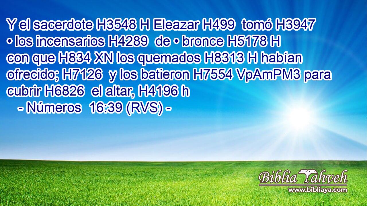 Y el sacerdote H3548 H Eleazar H499  tomó H3947  • los incensarios H4289  de • bronce H5178 H con que H834 XN los quemados H8313 H habían ofrecido; H7126  y los batieron H7554 VpAmPM3 para cubrir H6826  el altar, H4196 h 