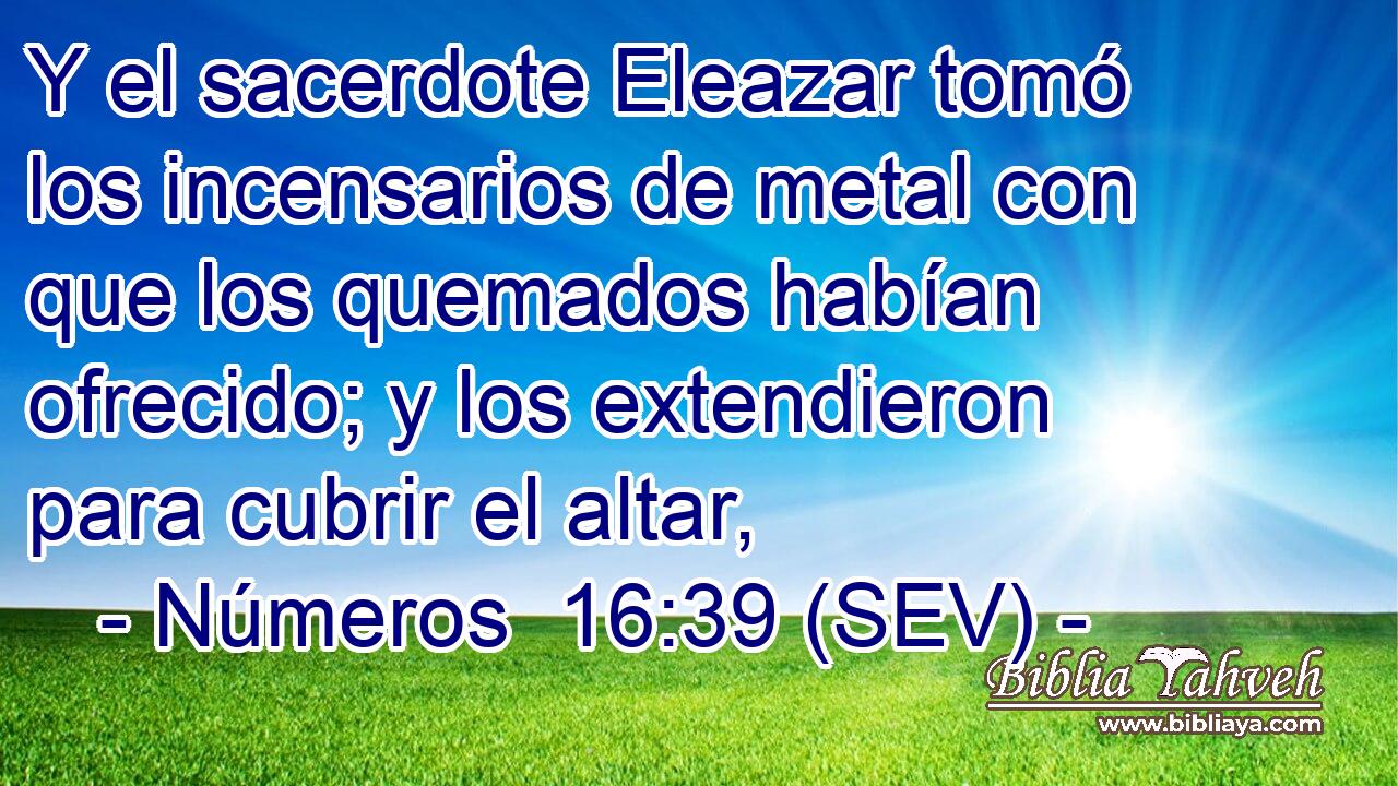 Y el sacerdote Eleazar tomó los incensarios de metal con que los quemados habían ofrecido; y los extendieron para cubrir el altar,