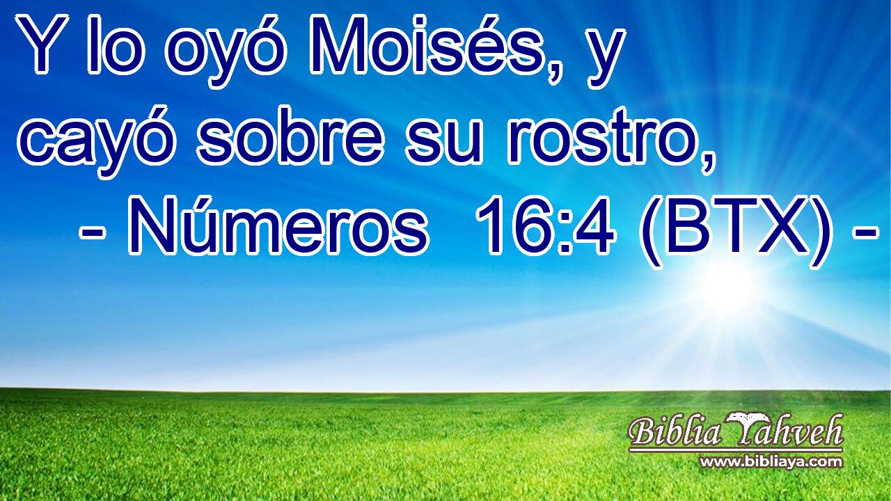 Y lo oyó Moisés, y cayó sobre su rostro,