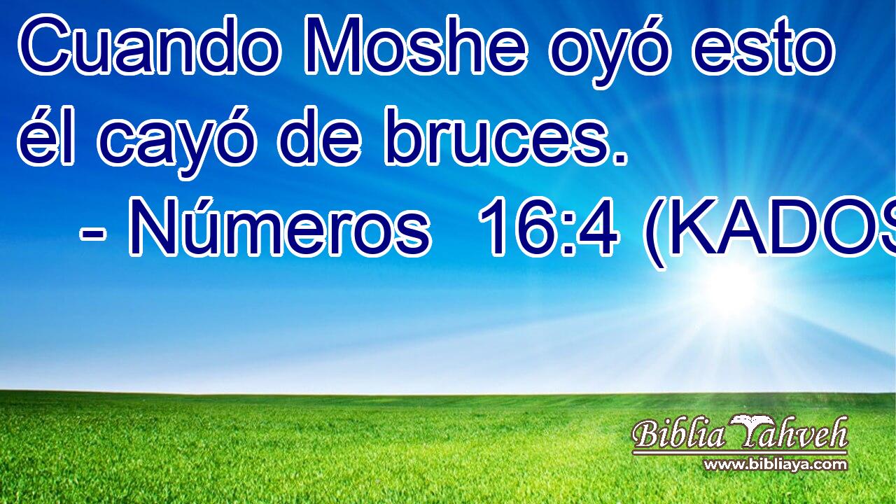  Cuando Moshe oyó esto él cayó de bruces. 