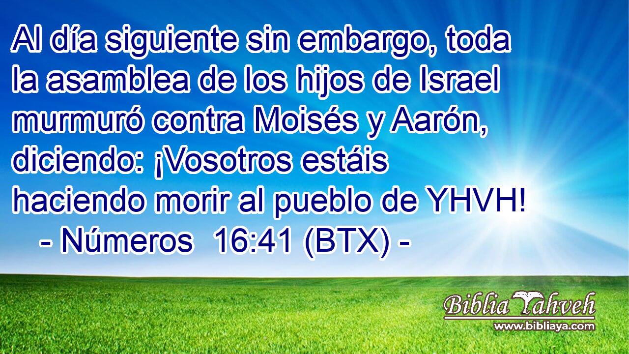 Al día siguiente sin embargo, toda la asamblea de los hijos de Israel murmuró contra Moisés y Aarón, diciendo: ¡Vosotros estáis haciendo morir al pueblo de YHVH!