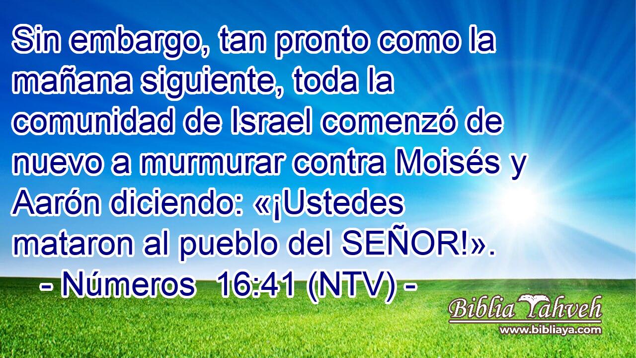 Sin embargo, tan pronto como la mañana siguiente, toda la comunidad de Israel comenzó de nuevo a murmurar contra Moisés y Aarón diciendo: «¡Ustedes mataron al pueblo del SEÑOR!».