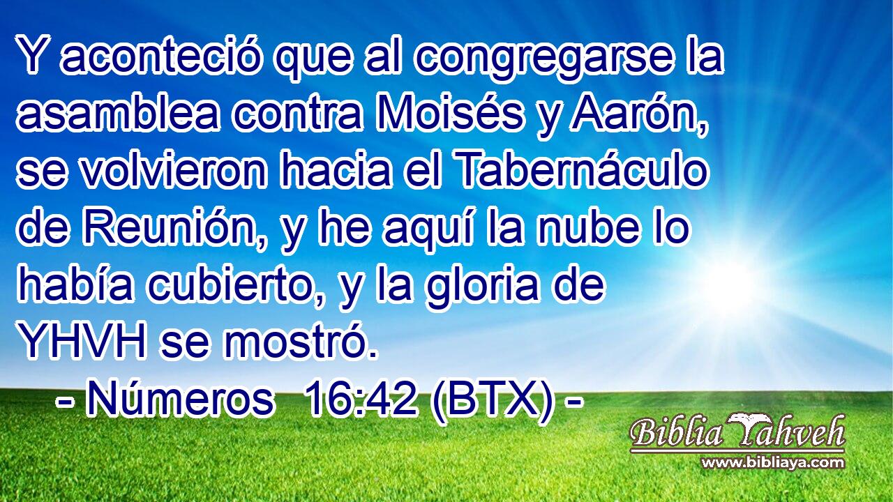 Y aconteció que al congregarse la asamblea contra Moisés y Aarón, se volvieron hacia el Tabernáculo de Reunión, y he aquí la nube lo había cubierto, y la gloria de YHVH se mostró.