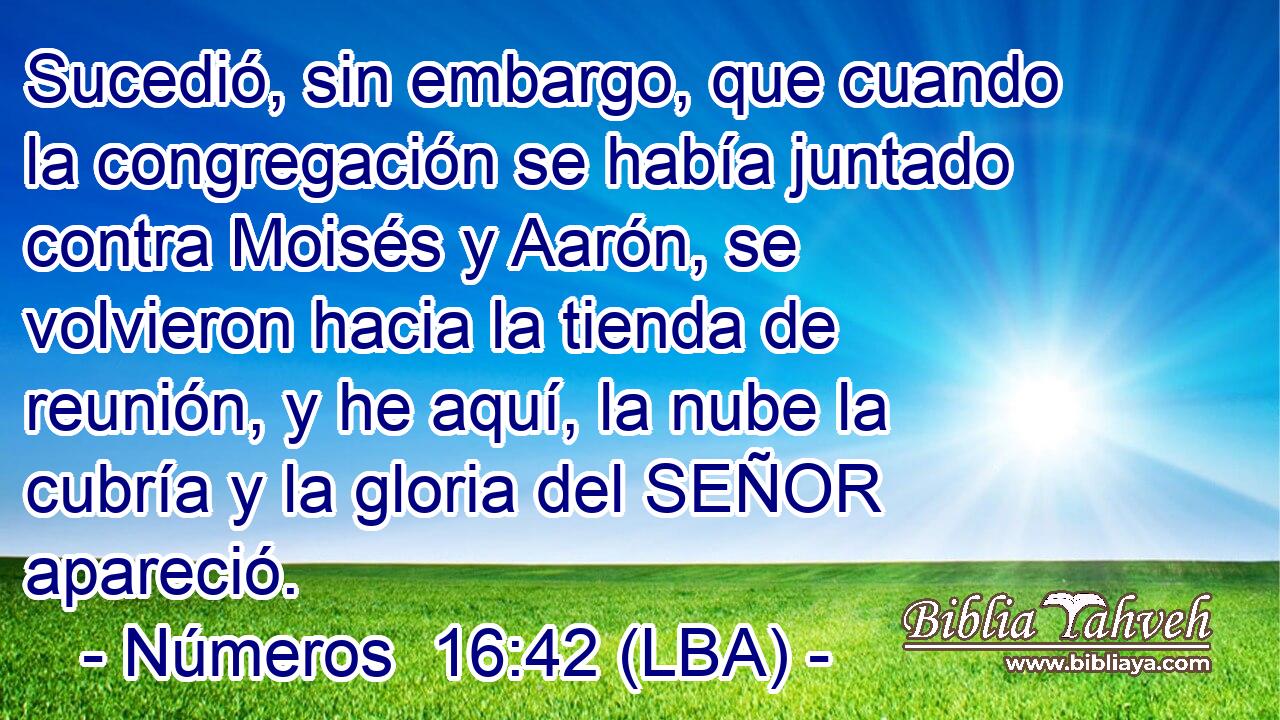 Sucedió, sin embargo, que cuando la congregación se había juntado contra Moisés y Aarón, se volvieron hacia la tienda de reunión, y he aquí, la nube la cubría y la gloria del SEÑOR apareció.