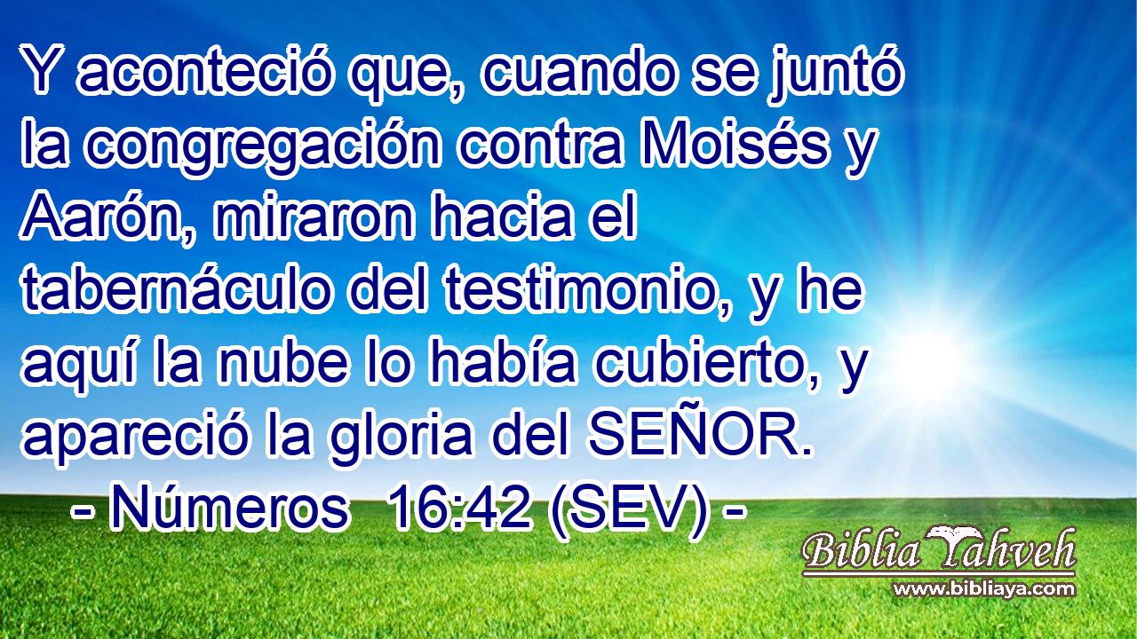 Y aconteció que, cuando se juntó la congregación contra Moisés y Aarón, miraron hacia el tabernáculo del testimonio, y he aquí la nube lo había cubierto, y apareció la gloria del SEÑOR.