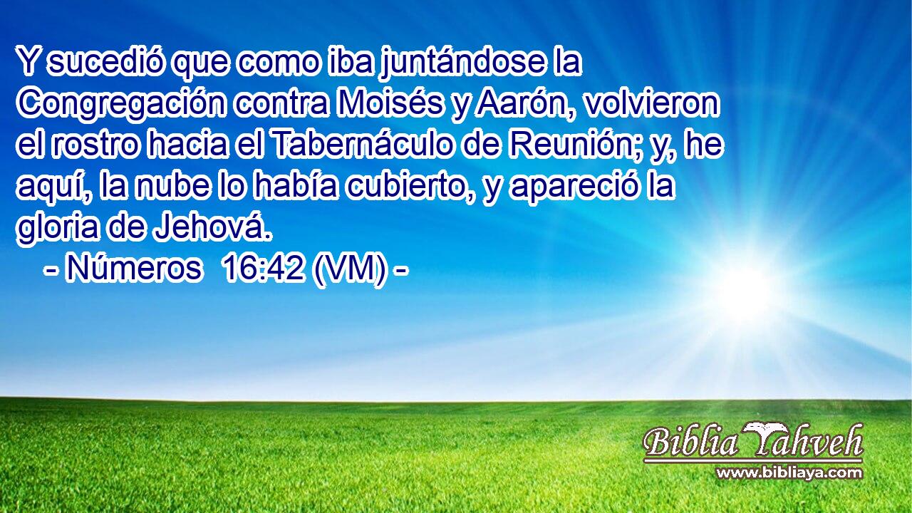  Y sucedió que como iba juntándose la Congregación contra Moisés y Aarón, volvieron el rostro hacia el Tabernáculo de Reunión; y, he aquí, la nube lo había cubierto, y apareció la gloria de Jehová. 