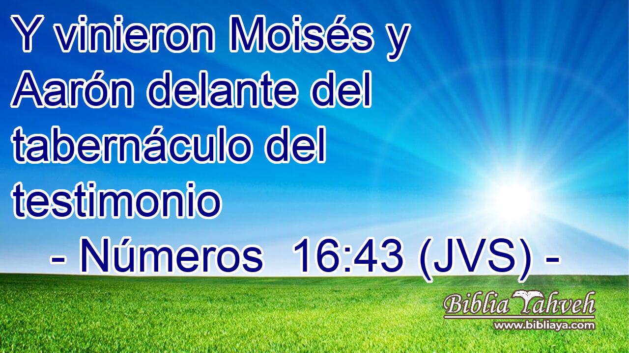 Y vinieron Moisés y Aarón delante del tabernáculo del testimonio