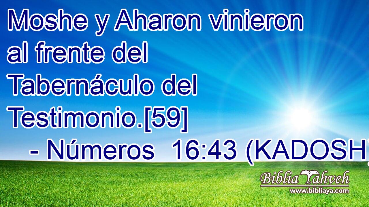  Moshe y Aharon vinieron al frente del Tabernáculo del Testimonio.[59] 