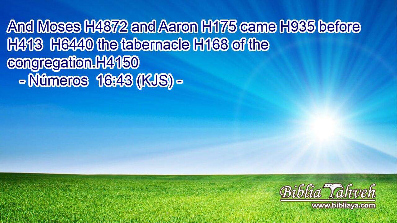 And Moses H4872 and Aaron H175 came H935 before H413  H6440 the tabernacle H168 of the congregation.H4150