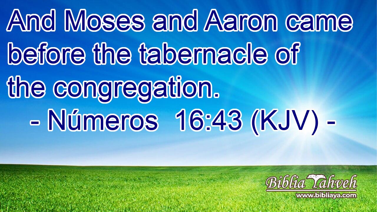 And Moses and Aaron came before the tabernacle of the congregation.