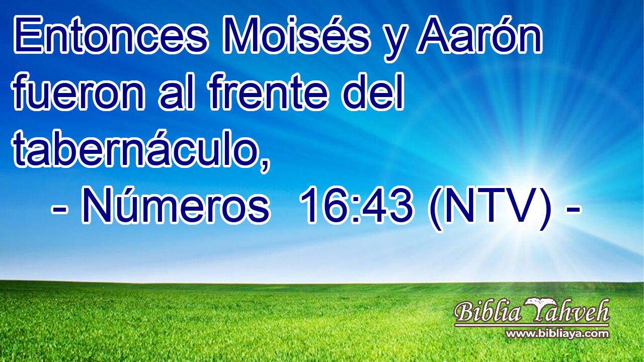 Entonces Moisés y Aarón fueron al frente del tabernáculo,