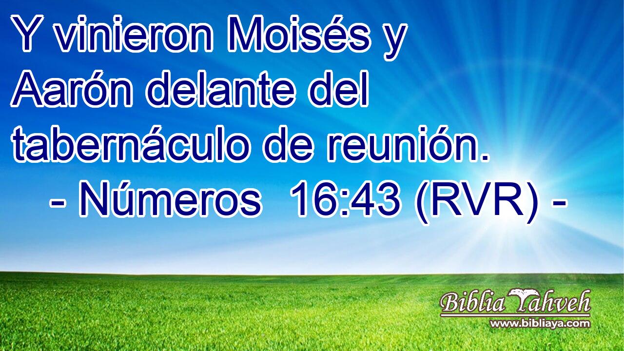 Y vinieron Moisés y Aarón delante del tabernáculo de reunión.