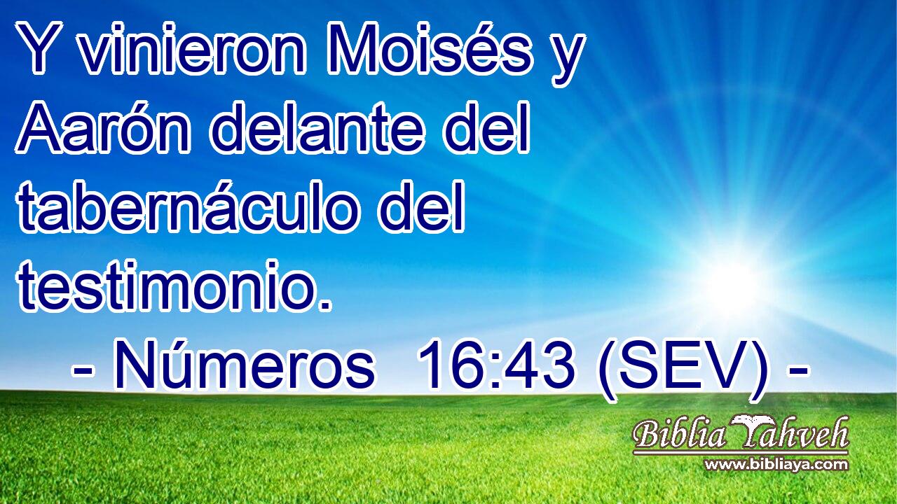Y vinieron Moisés y Aarón delante del tabernáculo del testimonio.