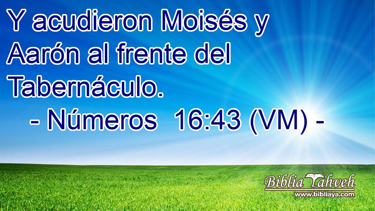  Y acudieron Moisés y Aarón al frente del Tabernáculo. 