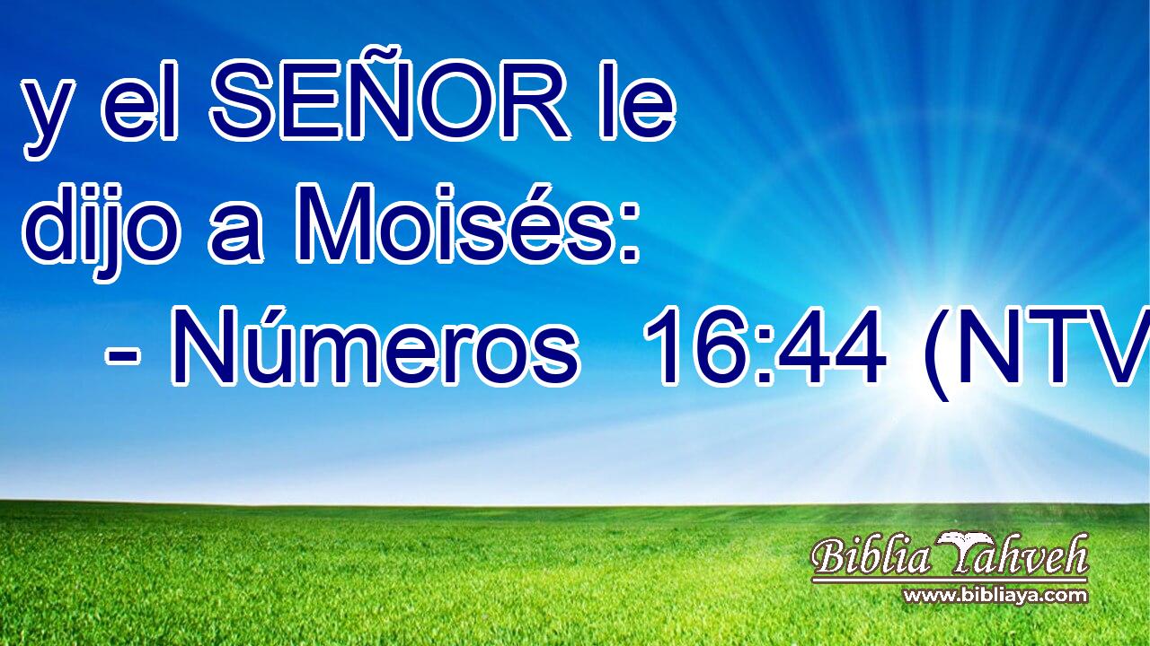 y el SEÑOR le dijo a Moisés: