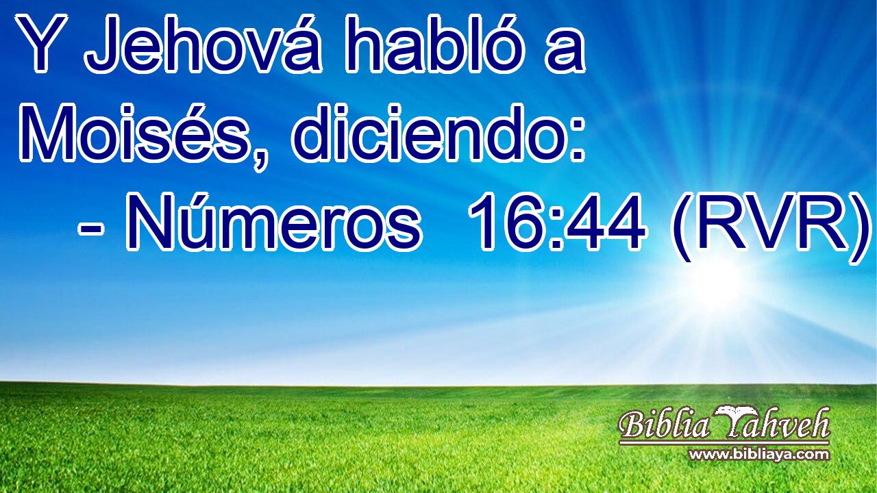 Y Jehová habló a Moisés, diciendo: