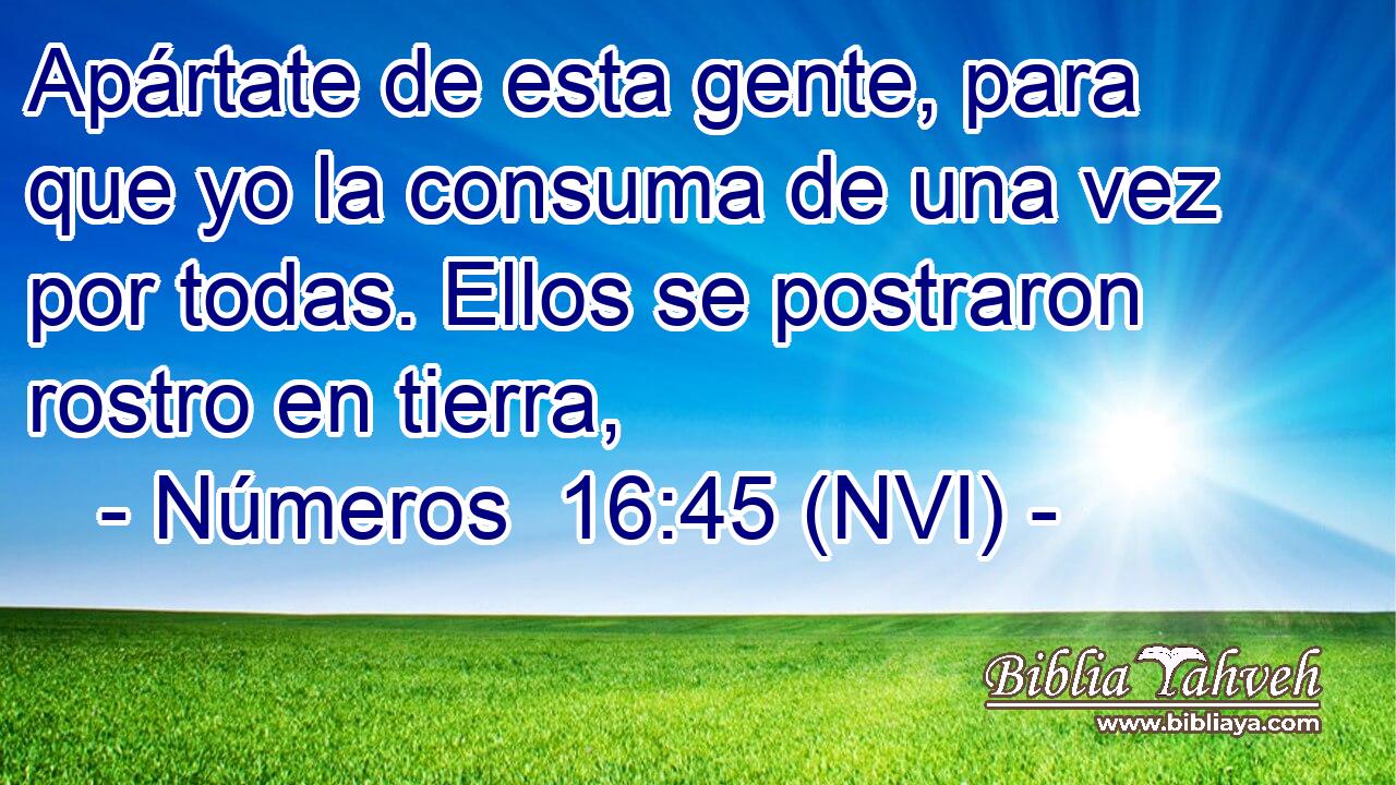  Apártate de esta gente, para que yo la consuma de una vez por todas. Ellos se postraron rostro en tierra, 