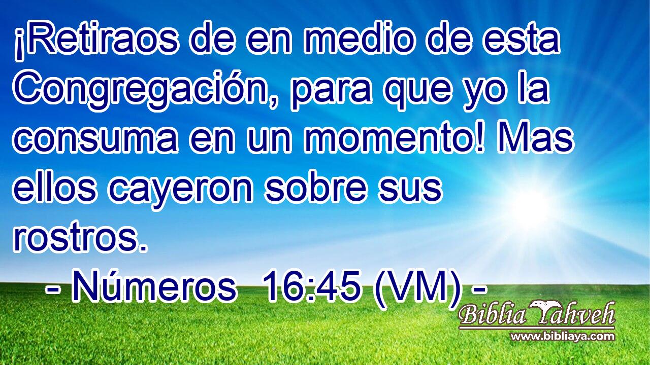  ¡Retiraos de en medio de esta Congregación, para que yo la consuma en un momento! Mas ellos cayeron sobre sus rostros. 