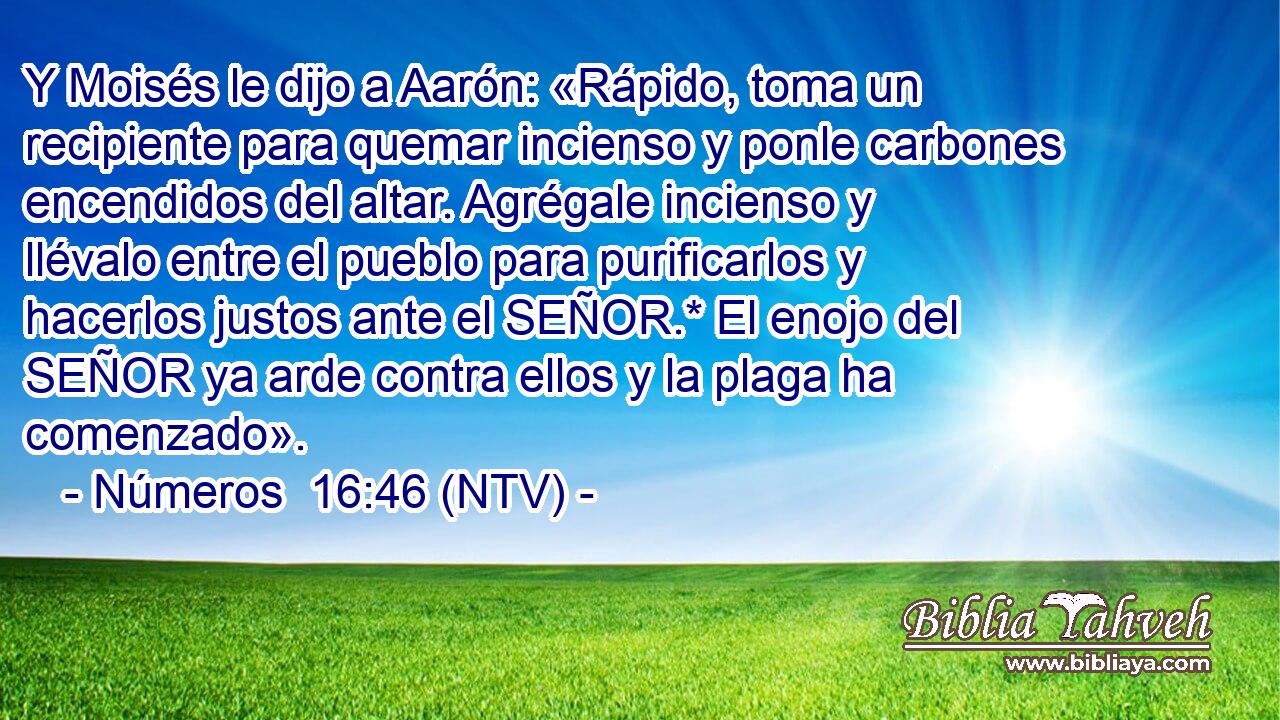 Y Moisés le dijo a Aarón: «Rápido, toma un recipiente para quemar incienso y ponle carbones encendidos del altar. Agrégale incienso y llévalo entre el pueblo para purificarlos y hacerlos justos ante el SEÑOR.* El enojo del SEÑOR ya arde contra ellos y la plaga ha comenzado».