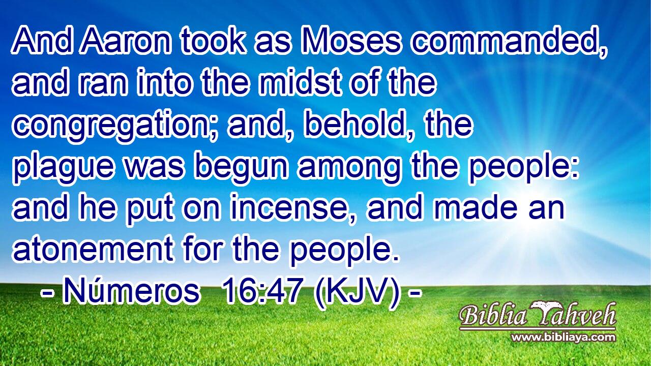 And Aaron took as Moses commanded, and ran into the midst of the congregation; and, behold, the plague was begun among the people: and he put on incense, and made an atonement for the people.