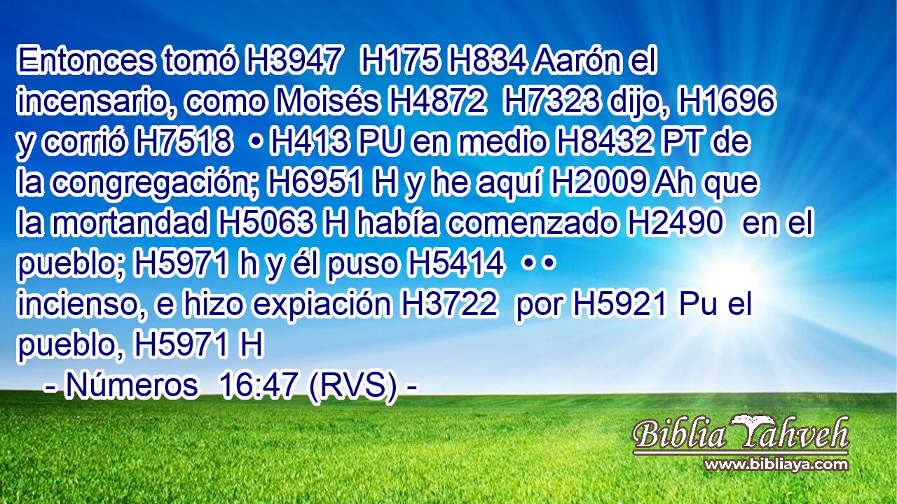 Entonces tomó H3947  H175 H834 Aarón el incensario, como Moisés H4872  H7323 dijo, H1696  y corrió H7518  • H413 PU en medio H8432 PT de la congregación; H6951 H y he aquí H2009 Ah que la mortandad H5063 H había comenzado H2490  en el pueblo; H5971 h y él puso H5414  • • incienso, e hizo expiación H3722  por H5921 Pu el pueblo, H5971 H 