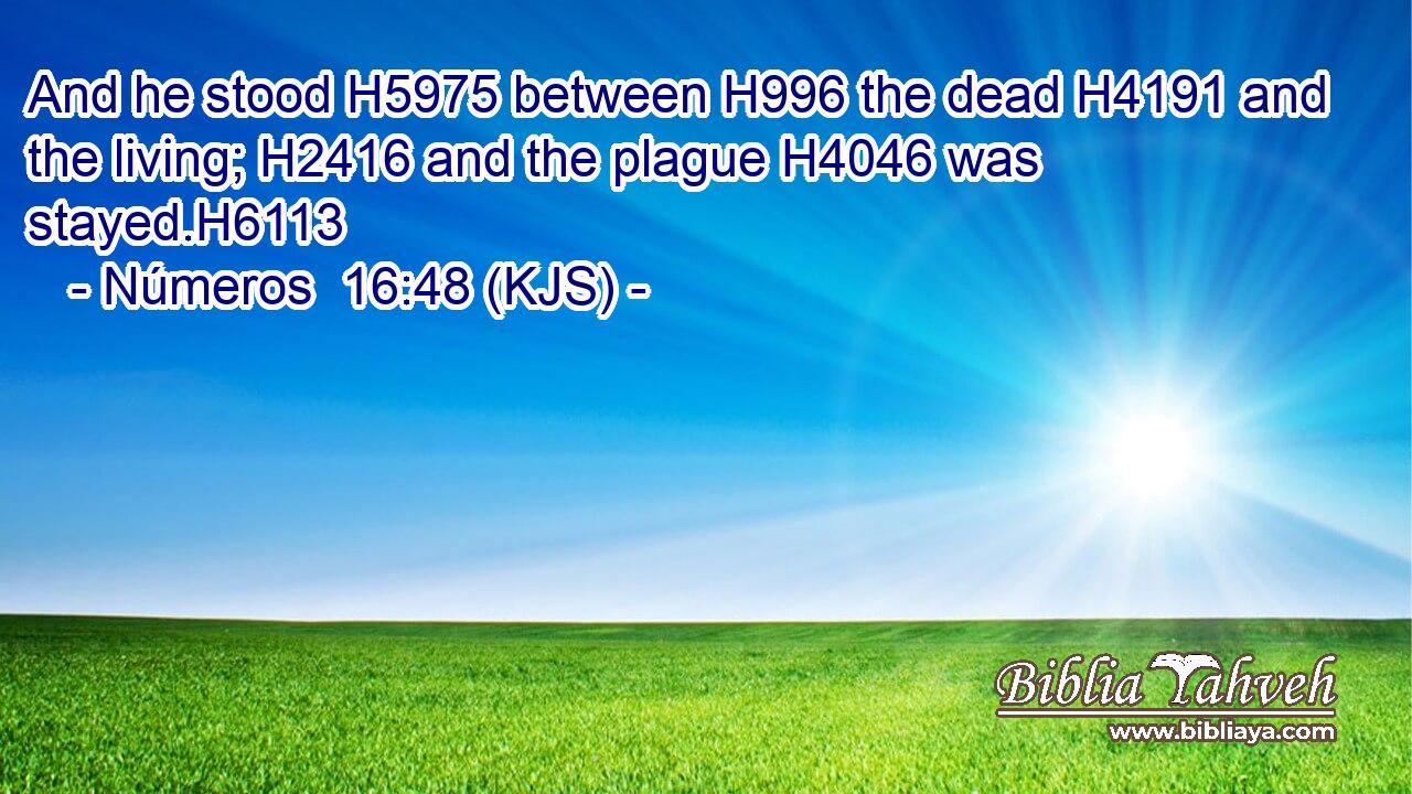 And he stood H5975 between H996 the dead H4191 and the living; H2416 and the plague H4046 was stayed.H6113