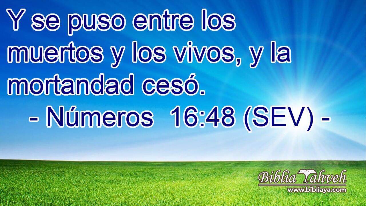 Y se puso entre los muertos y los vivos, y la mortandad cesó.