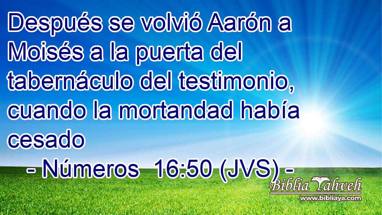 Después se volvió Aarón a Moisés a la puerta del tabernáculo del testimonio, cuando la mortandad había cesado