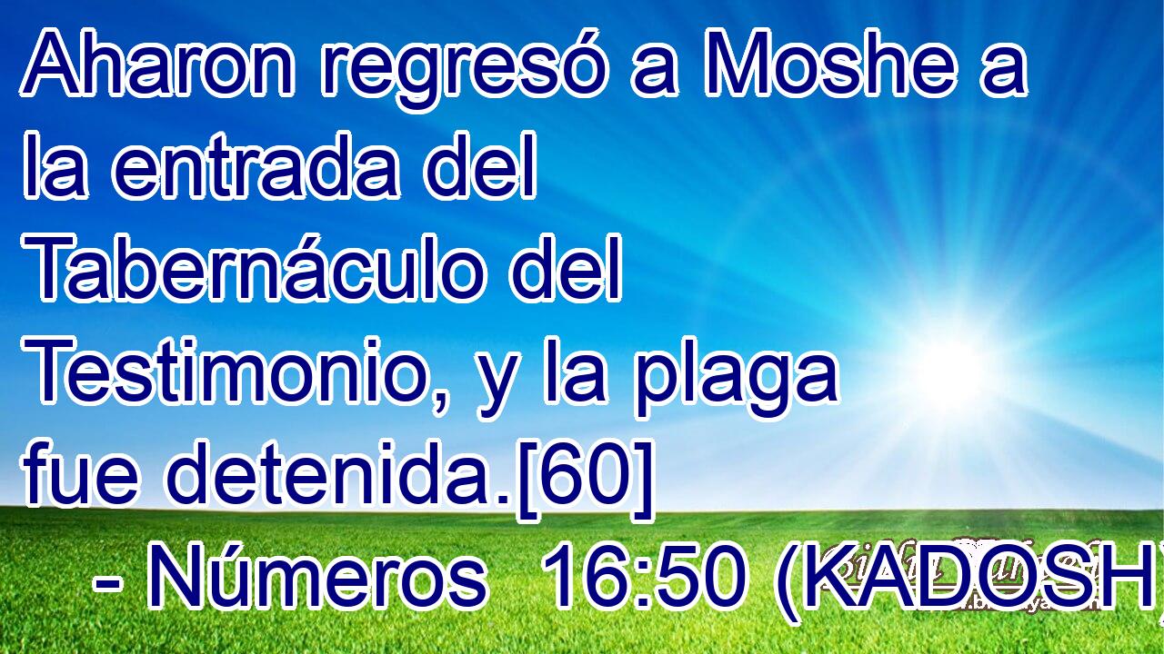  Aharon regresó a Moshe a la entrada del Tabernáculo del Testimonio, y la plaga fue detenida.[60] 