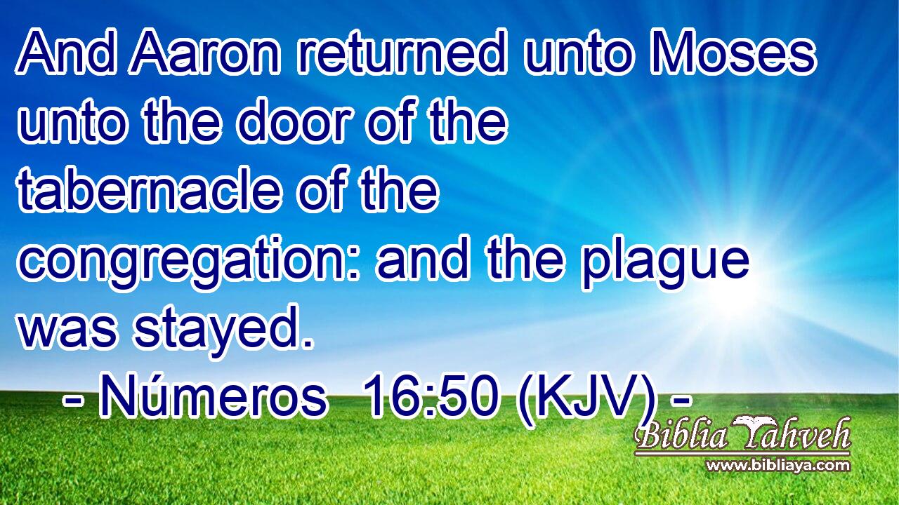 And Aaron returned unto Moses unto the door of the tabernacle of the congregation: and the plague was stayed.