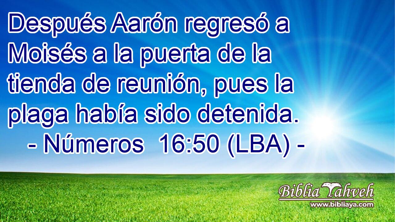 Después Aarón regresó a Moisés a la puerta de la tienda de reunión, pues la plaga había sido detenida.