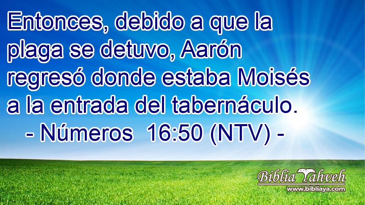 Entonces, debido a que la plaga se detuvo, Aarón regresó donde estaba Moisés a la entrada del tabernáculo.