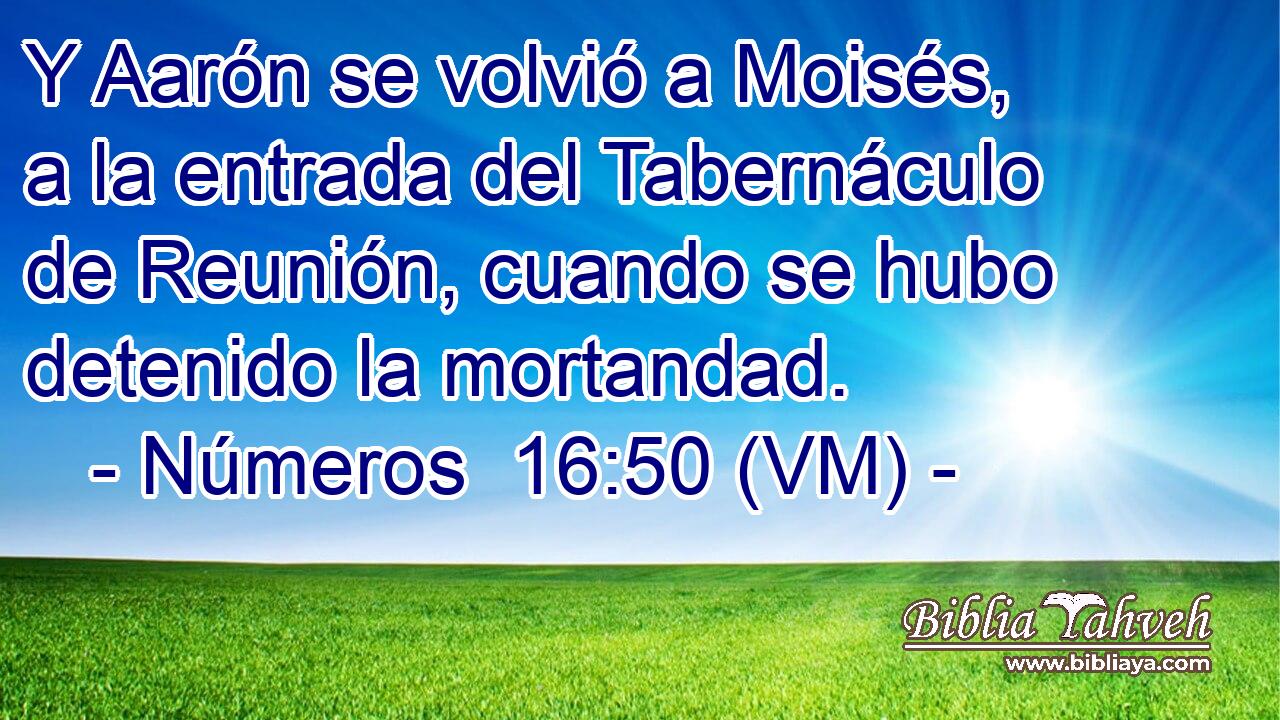  Y Aarón se volvió a Moisés, a la entrada del Tabernáculo de Reunión, cuando se hubo detenido la mortandad. 