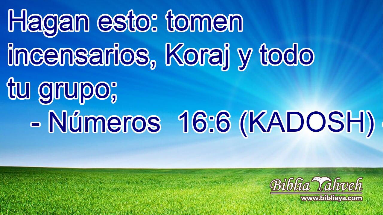  Hagan esto: tomen incensarios, Koraj y todo tu grupo; 