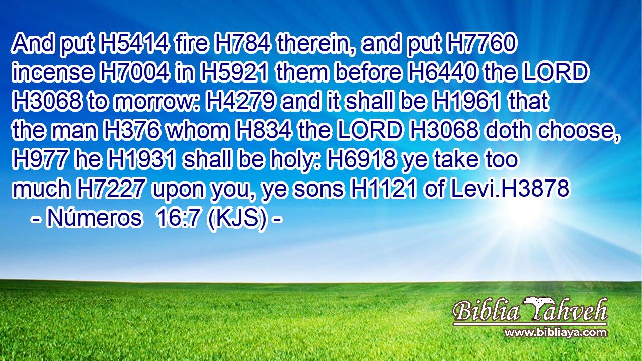 And put H5414 fire H784 therein, and put H7760 incense H7004 in H5921 them before H6440 the LORD H3068 to morrow: H4279 and it shall be H1961 that the man H376 whom H834 the LORD H3068 doth choose, H977 he H1931 shall be holy: H6918 ye take too much H7227 upon you, ye sons H1121 of Levi.H3878
