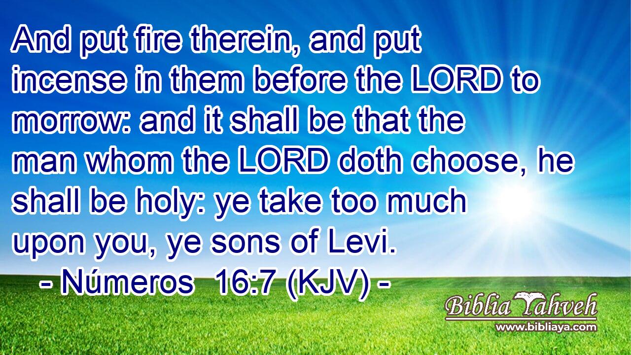 And put fire therein, and put incense in them before the LORD to morrow: and it shall be that the man whom the LORD doth choose, he shall be holy: ye take too much upon you, ye sons of Levi.