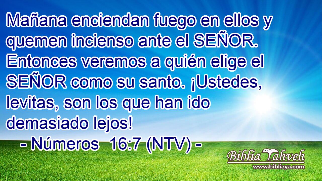 Mañana enciendan fuego en ellos y quemen incienso ante el SEÑOR. Entonces veremos a quién elige el SEÑOR como su santo. ¡Ustedes, levitas, son los que han ido demasiado lejos!