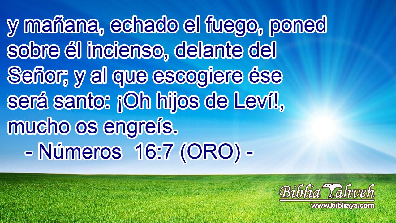  y mañana, echado el fuego, poned sobre él incienso, delante del Señor; y al que escogiere ése será santo: ¡Oh hijos de Leví!, mucho os engreís. 