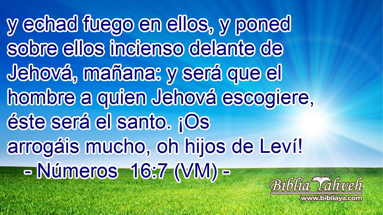  y echad fuego en ellos, y poned sobre ellos incienso delante de Jehová, mañana: y será que el hombre a quien Jehová escogiere, éste será el santo. ¡Os arrogáis mucho, oh hijos de Leví! 