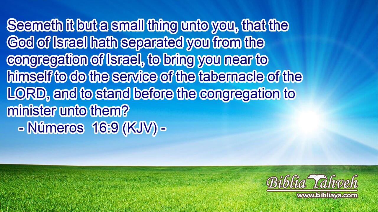 Seemeth it but a small thing unto you, that the God of Israel hath separated you from the congregation of Israel, to bring you near to himself to do the service of the tabernacle of the LORD, and to stand before the congregation to minister unto them?