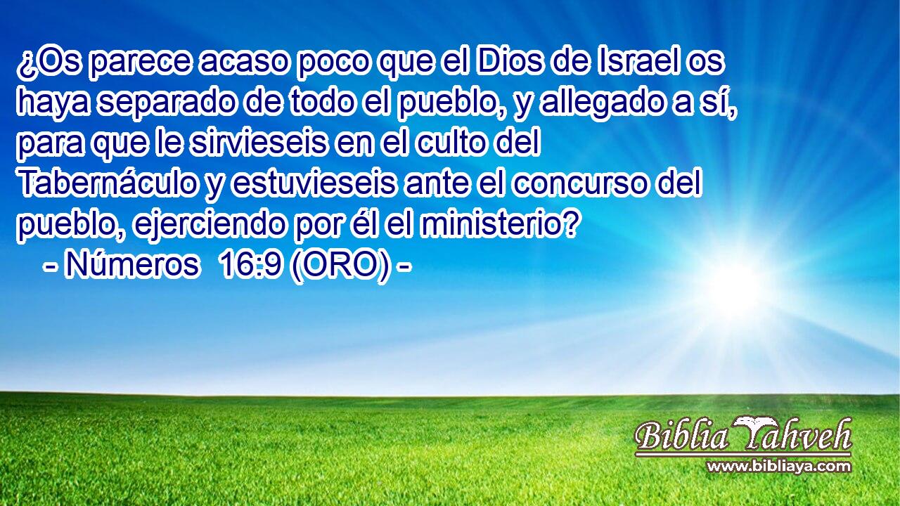  ¿Os parece acaso poco que el Dios de Israel os haya separado de todo el pueblo, y allegado a sí, para que le sirvieseis en el culto del Tabernáculo y estuvieseis ante el concurso del pueblo, ejerciendo por él el ministerio? 