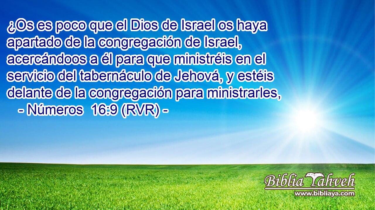 ¿Os es poco que el Dios de Israel os haya apartado de la congregación de Israel, acercándoos a él para que ministréis en el servicio del tabernáculo de Jehová, y estéis delante de la congregación para ministrarles,