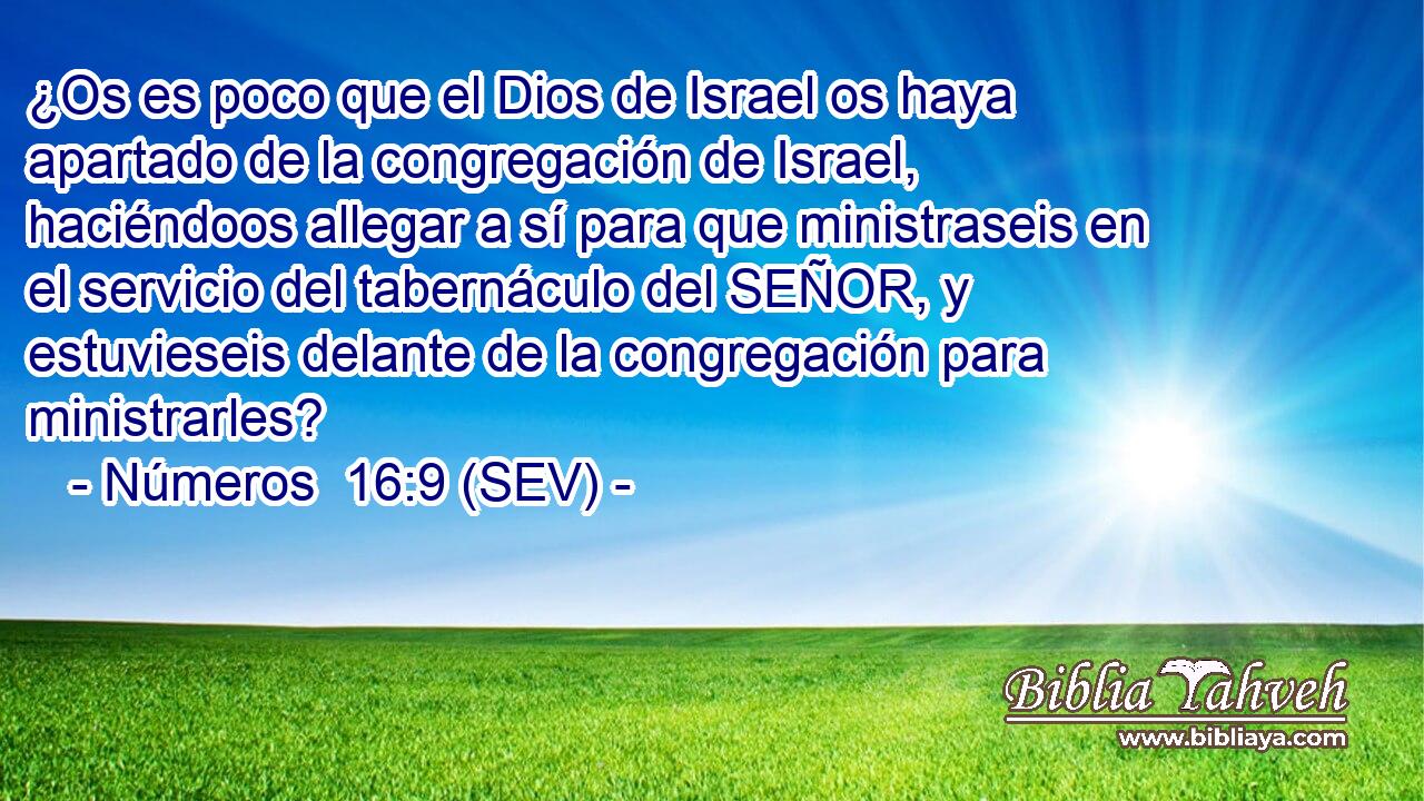 ¿Os es poco que el Dios de Israel os haya apartado de la congregación de Israel, haciéndoos allegar a sí para que ministraseis en el servicio del tabernáculo del SEÑOR, y estuvieseis delante de la congregación para ministrarles?